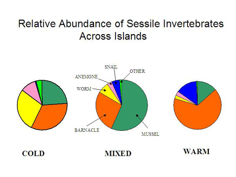 Relative abundance of invertebrates on the Channel Islands