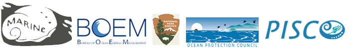 Pacific Rocky Intertidal Monitoring Program banner image