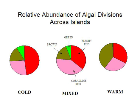 Relative abundance of algae on the Channel Islands