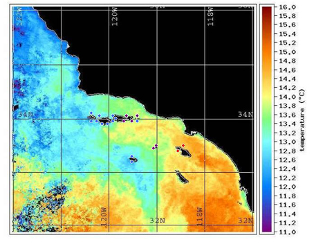 Example of water temperatures around the Channel Islands from 2003