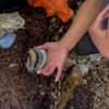buried abalone image