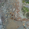 drone mosaic of debris flow