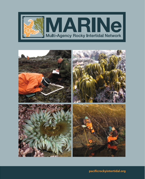marine booklet