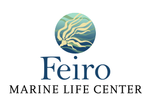 FEIRO logo