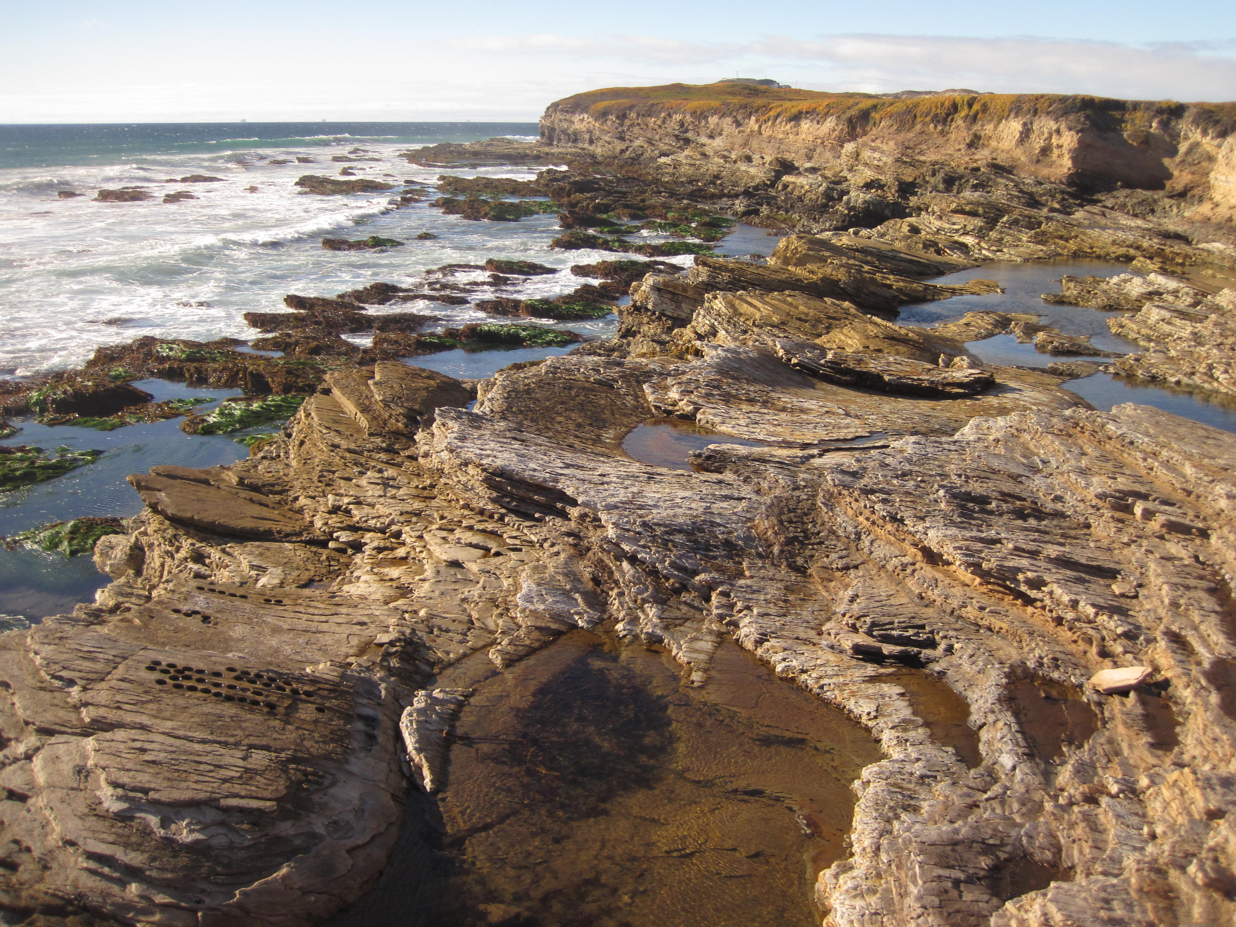 Coastal Conservation in California