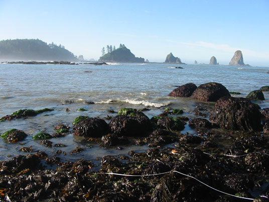 Olympic Coast Region image