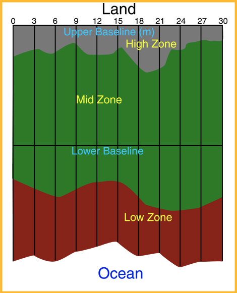 Simplified cartoon depiction of biodiversity survey site setup/grid