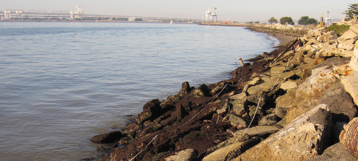 Alameda Point overview