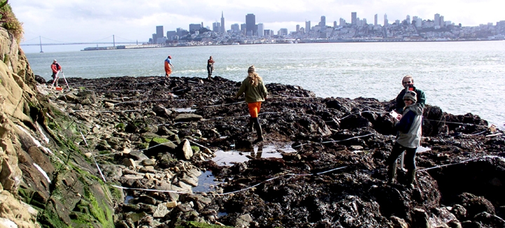 Alcatraz Island biodiversity survey overview