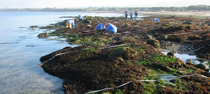 Año Nuevo biodiversity survey overview