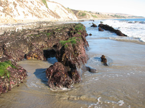 Arroyo Hondo long-term monitoring overview