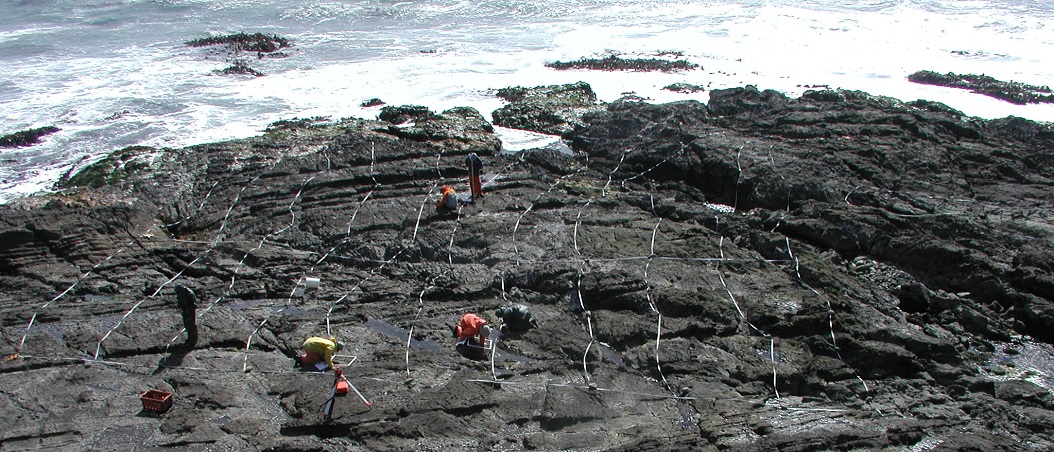 Babencho Grande biodiversity survey overview