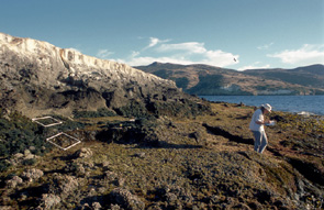 Bird Rock long-term monitoring overview