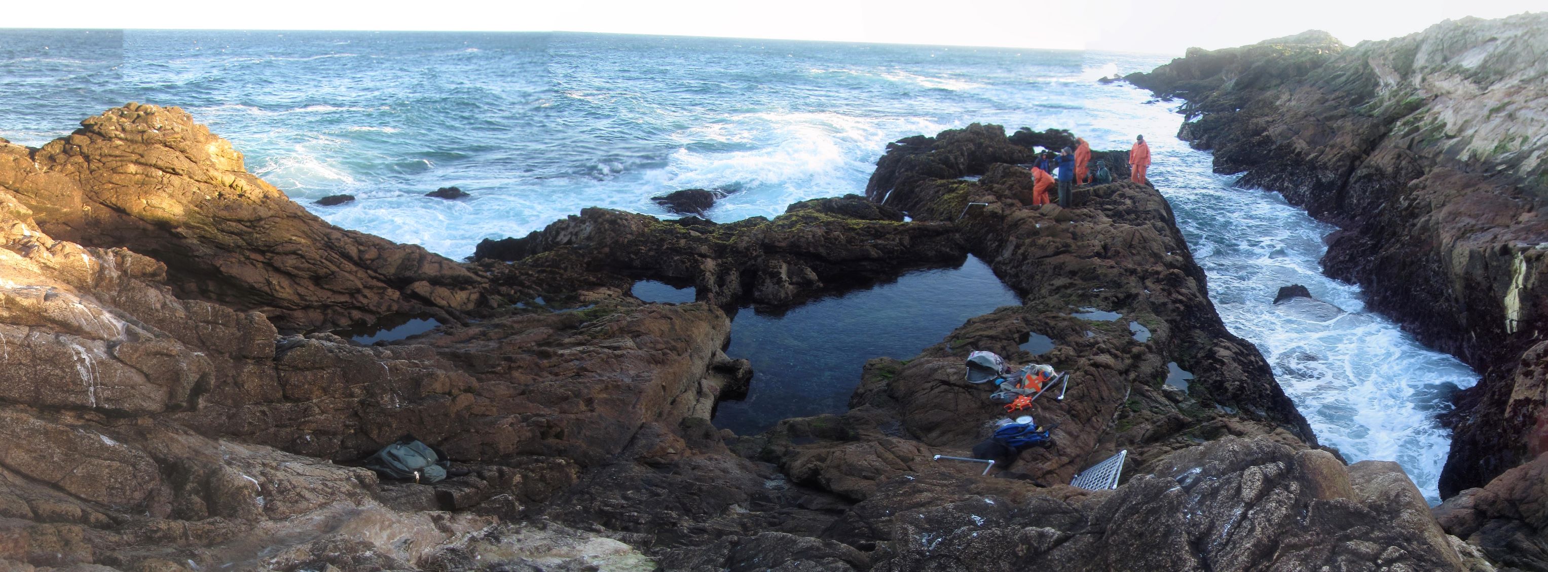 Blow Hole biodiversity survey overview