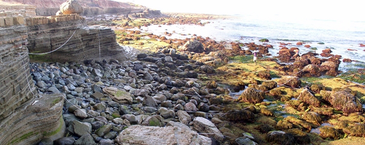 Cabrillo I biodiversity survey overview