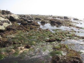 Cabrillo II long-term monitoring closeup