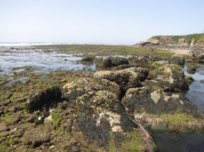 Cabrillo III long-term monitoring overview