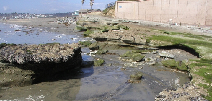 Cardiff Reef long term survey overview