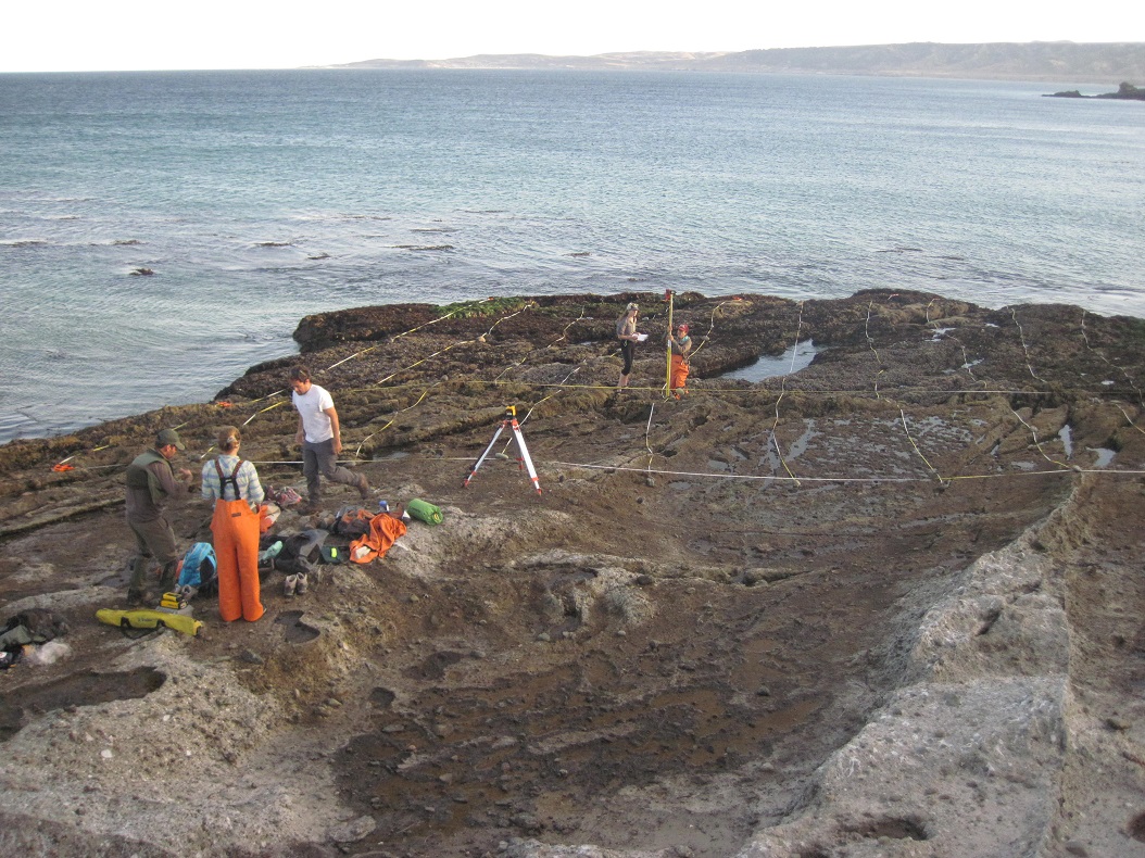 Carrington Point long-term monitoring overview