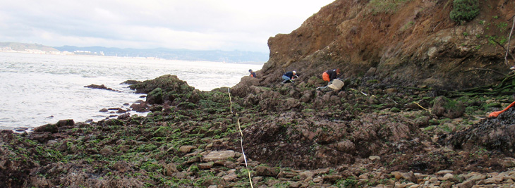 China Cove overview