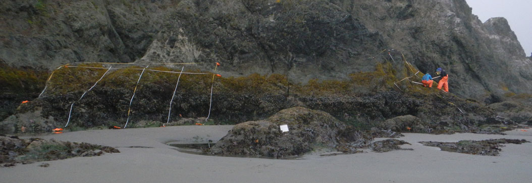 Coquille Point biodiversity survey overview