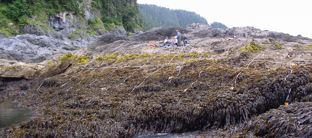 Coronation Island biodiversity survey overview