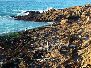 Cuyler Harbor biodiversity overview