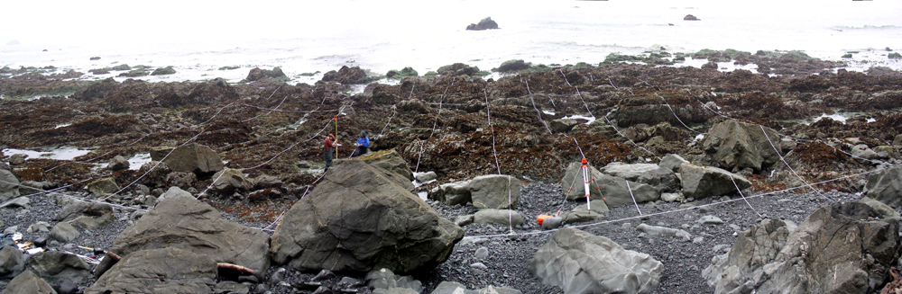 Damnation Creek long-term monitoring overview