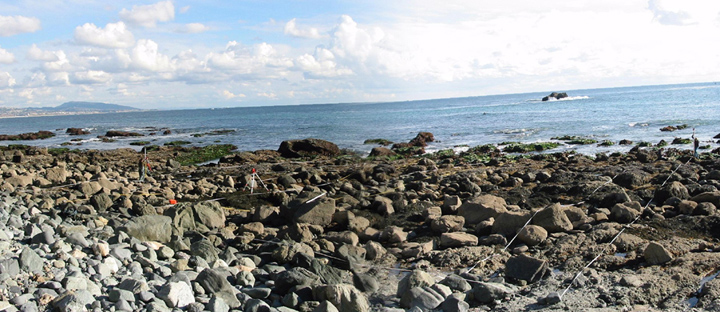 Dana Point biodiversity survey overview