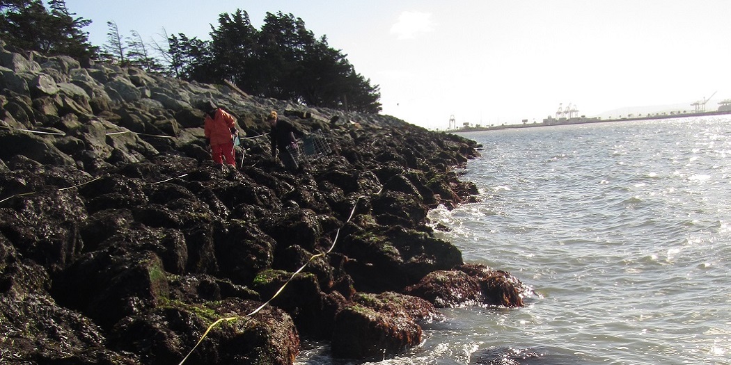 Emeryville Marina overview