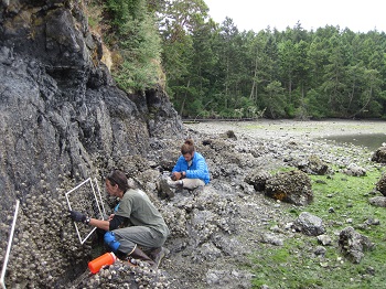 English Camp long-term monitoring detail