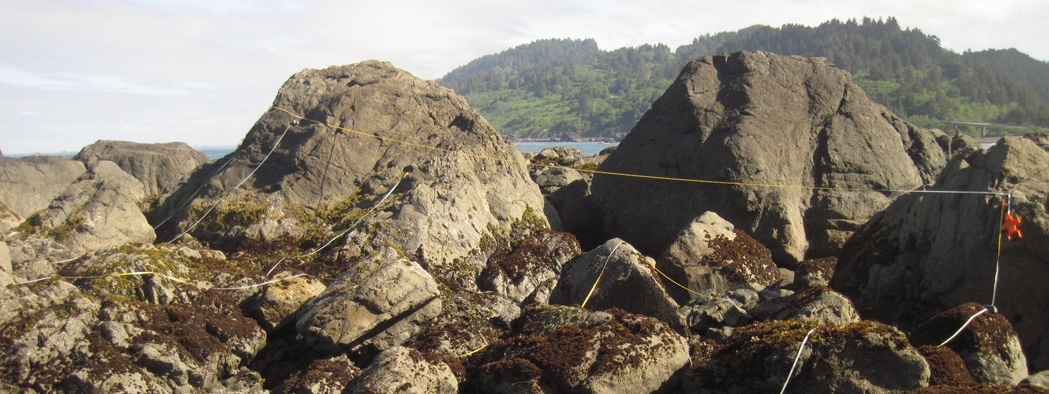 False Klamath Cove long-term monitoring overview