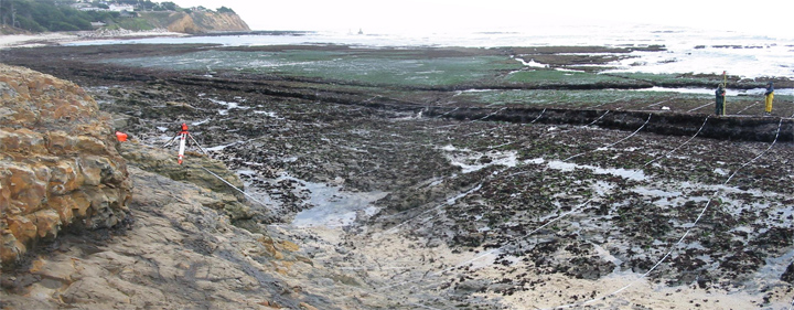 Fitzgerald Marine Reserve biodiversity survey overview