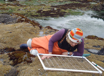 Fogarty Creek long-term monitoring overview