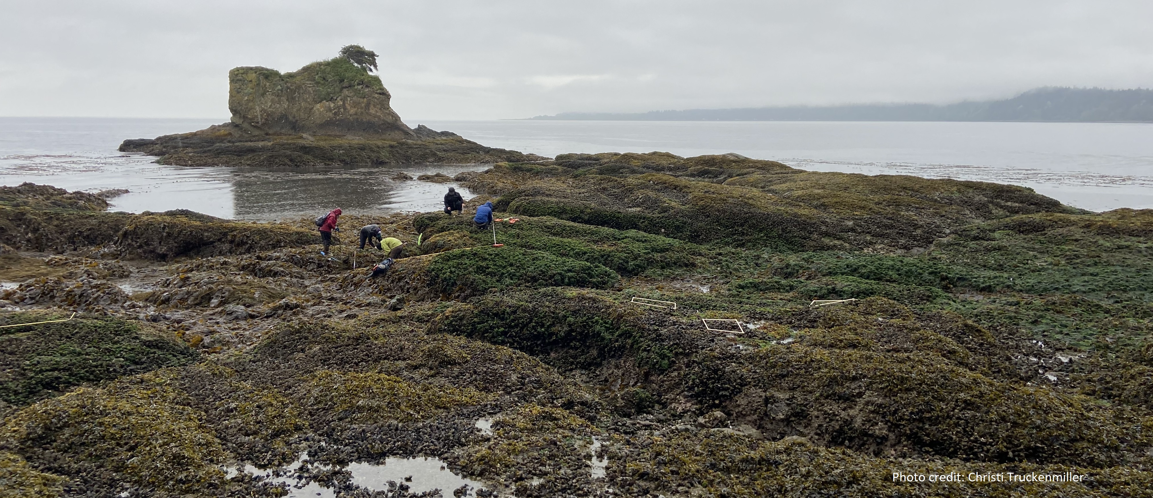 Freshwater Bay long-term monitoring overview