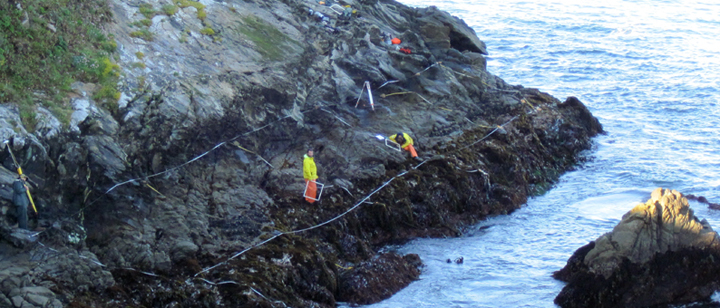 Gerstle Cove biodiversity survey overview