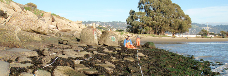 Golden Gate Fields overview