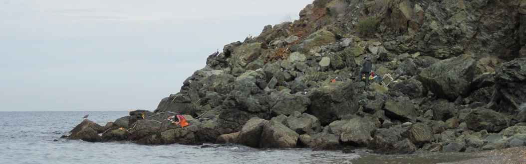 Goat Harbor biodiversity survey overview