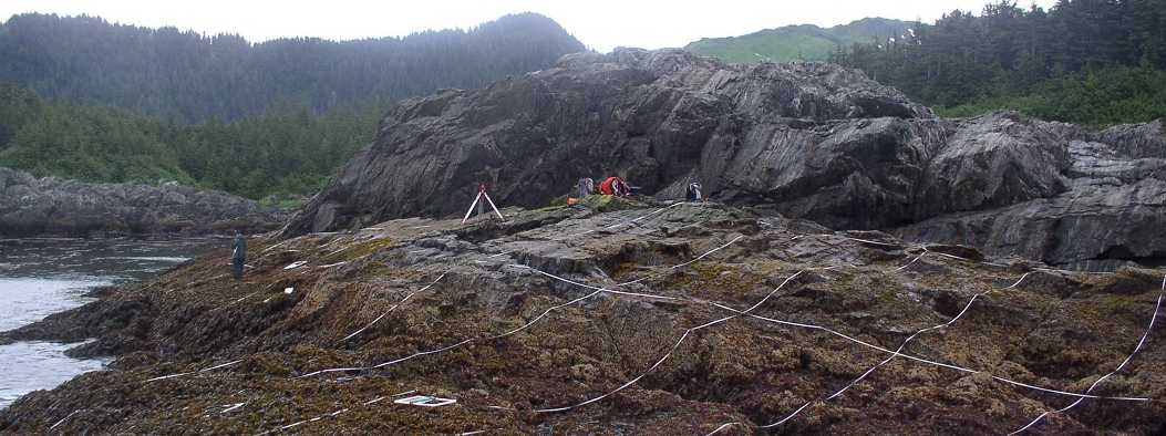 Graves Harbor biodiversity survey overview