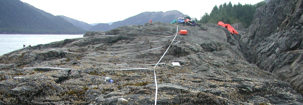 Graves Harbor biodiversity closeup