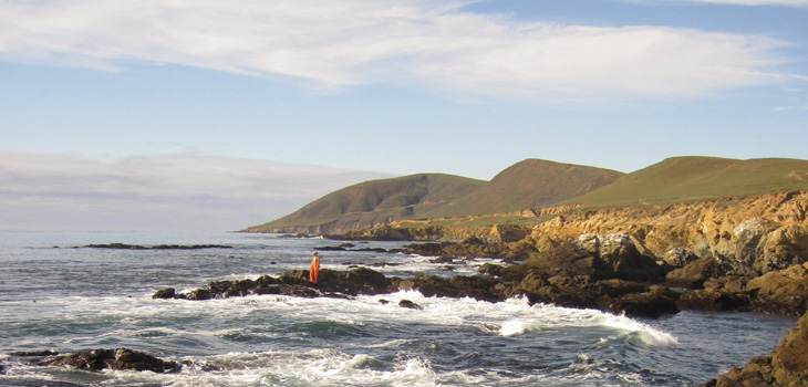 Harmony Headlands long-term survey overview