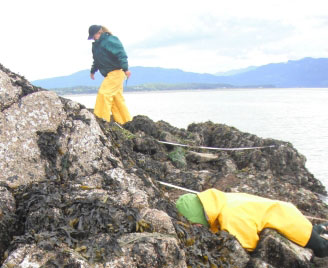 Hat Island East long-term monitoring closeup