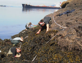 Hat Island West long-term monitoring closeup