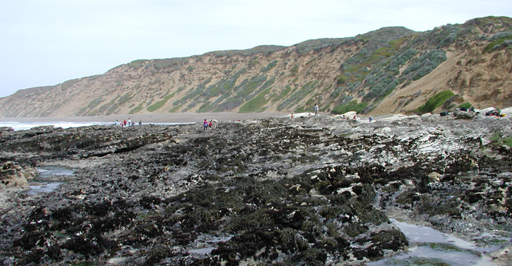 Hazards biodiversity survey overview