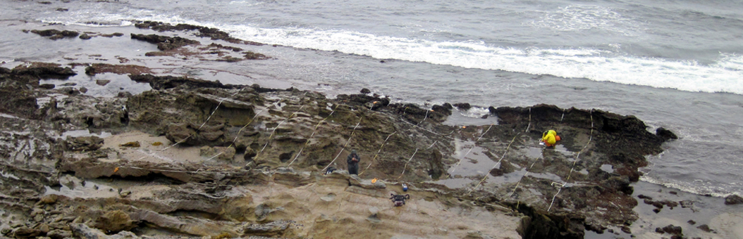 Heisler Park biodiversity survey overview