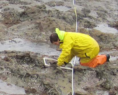 Heisler Park long-term monitoring overview