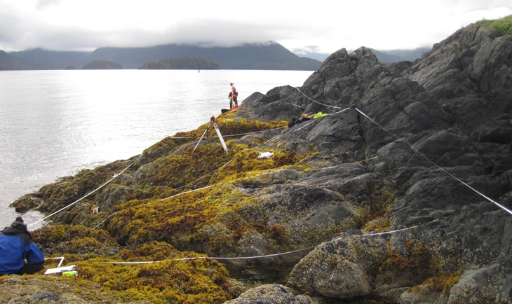 Kayak Island biodiversity overview