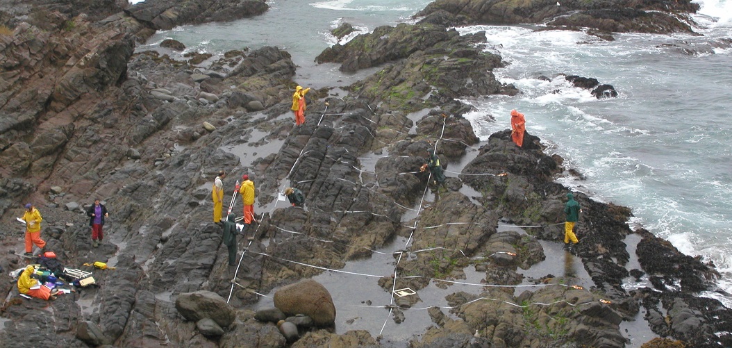 La Bufadora biodiversity survey overview