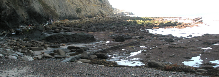 La Jolla Caves biodiversity survey overview