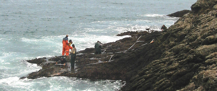 Landing Cove biodiversity overview